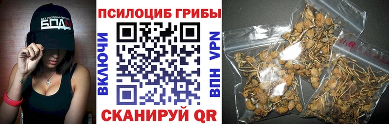 Галлюциногенные грибы ЛСД  закладка  omg рабочий сайт  Игарка 